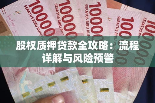 北京股权质押贷款全攻略：流程详解与风险预警