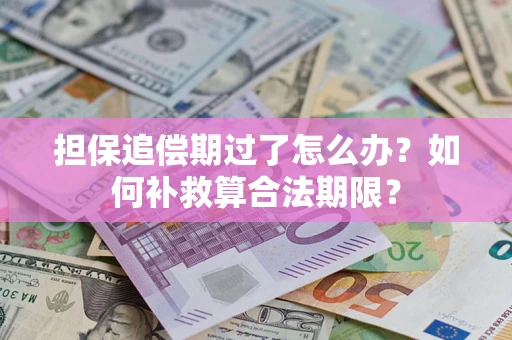 北京担保追偿期过了怎么办？如何补救算合法期限？