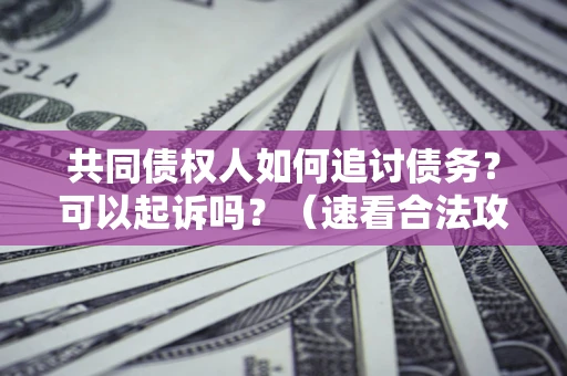 北京共同债权人如何追讨债务？可以起诉吗？（速看合法攻略）