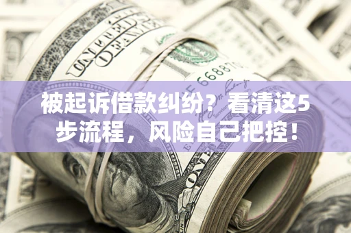 北京被起诉借款纠纷？看清这5步流程，风险自己把控！