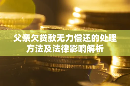 北京父亲欠贷款无力偿还的处理方法及法律影响解析